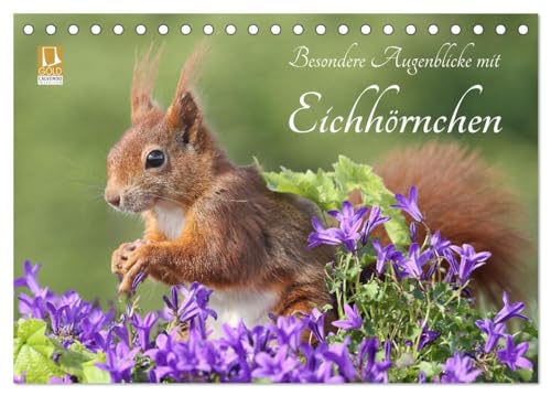 Besondere Augenblicke mit Eichhörnchen (Tischkalender 2025 DIN A5 quer), CALVENDO Monatskalender: Zauberhafte Bilder von kleinen Fotostars von CALVENDO