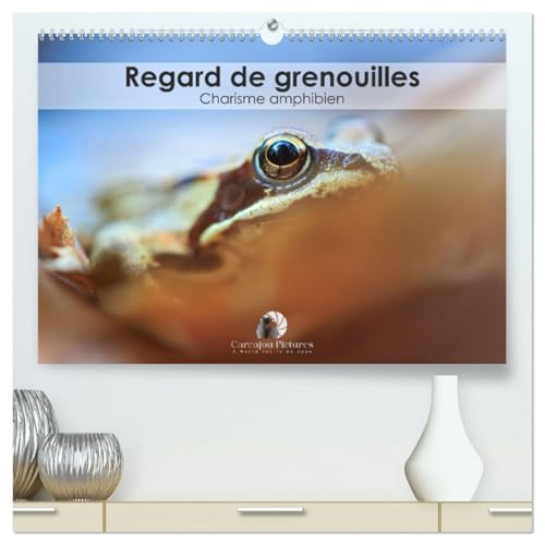 Regard de Grenouilles - Charisme amphibien (hochwertiger Premium Wandkalender 2025 DIN A2 quer), Kunstdruck in Hochglanz von CALVENDO