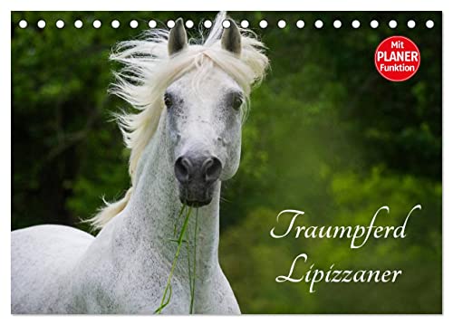 Traumpferd Lipizzaner (Tischkalender 2025 DIN A5 quer), CALVENDO Monatskalender von CALVENDO
