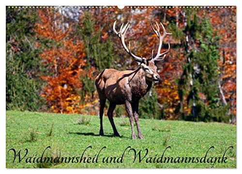Waidmannsheil und Waidmannsdank (Wandkalender 2025 DIN A2 quer), CALVENDO Monatskalender von CALVENDO