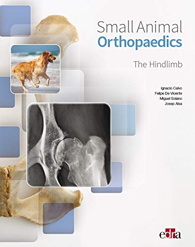 Small animal orthopaedics. The hindlimb