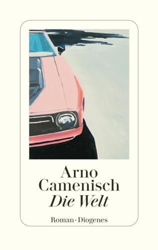 Die Welt: Roman von Diogenes Verlag AG