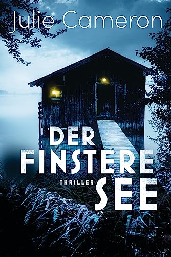 Der finstere See: Thriller