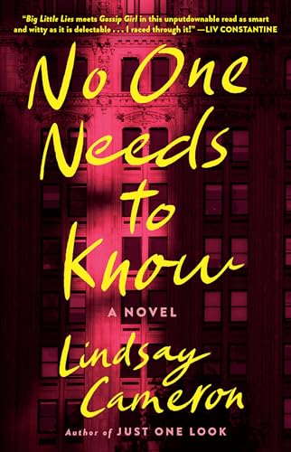 No One Needs to Know: A Novel