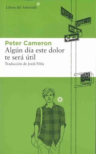 Algún día este dolor te será útil (Libros del Asteroide, Band 98)
