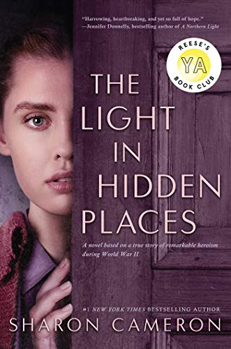The Light in Hidden Places von Scholastic