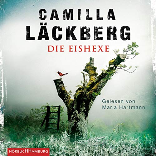 Die Eishexe: 2 CDs (Ein Falck-Hedström-Krimi, Band 10) von Hörbuch Hamburg