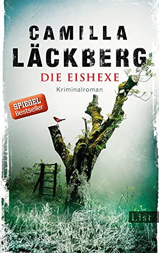 Die Eishexe: Kriminalroman (Ein Falck-Hedström-Krimi, Band 10)
