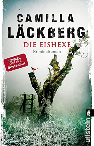 Die Eishexe: Kriminalroman | Die skandinavische Krimi-Serie der schwedischen Bestsellerautorin (Ein Falck-Hedström-Krimi, Band 10) von ULLSTEIN TASCHENBUCH