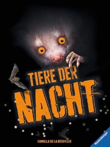 Tiere der Nacht