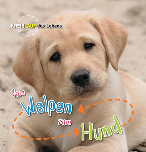 Vom Welpen zum Hund: Kreislauf des Lebens