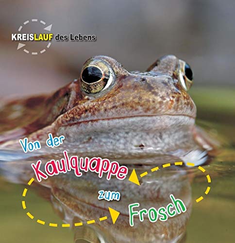 Von der Kaulquappe zum Frosch: Kreislauf des Lebens (CORONA Sachbücher) von Corona