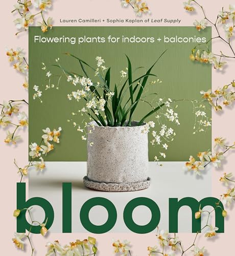 Bloom: Flowering plants for indoors and balconies von Smith Street Books