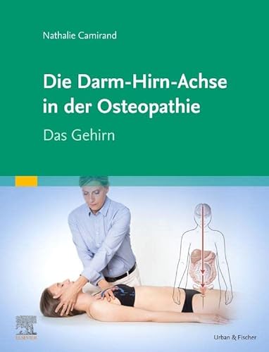Die Achse Hirn-Darm-Becken in der Osteopathie: Das Gehirn von Urban & Fischer Verlag/Elsevier GmbH