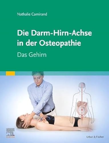 Die Achse Hirn-Darm-Becken in der Osteopathie: Das Gehirn von Urban & Fischer Verlag/Elsevier GmbH