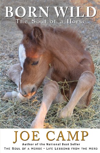 Born Wild - The Soul of a Horse von 14 Hands Press