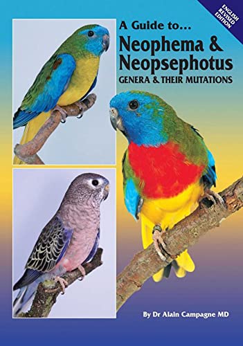 A Guide to Neophema & Neopsephotus Genera and Their Mutations