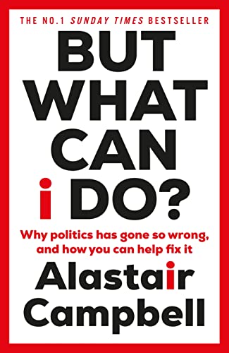 But What Can I Do?: Why Politics Has Gone So Wrong, and How You Can Help Fix It von Hutchinson Heinemann
