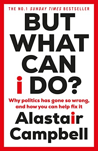 But What Can I Do?: Why Politics Has Gone So Wrong, and How You Can Help Fix It