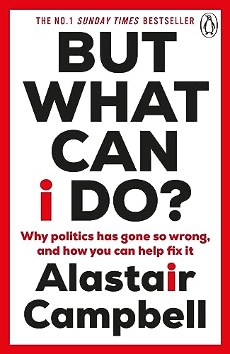 But What Can I Do?: Why Politics Has Gone So Wrong, and How You Can Help Fix It