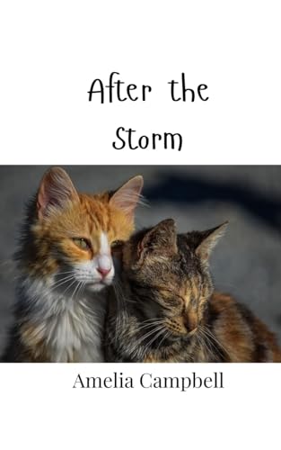 After the Storm von Creative Arts Management OÜ