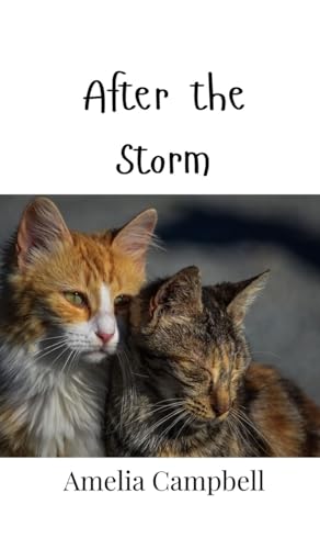 After the Storm von Creative Arts Management OÜ