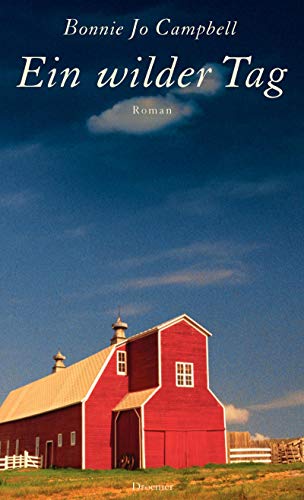 Ein wilder Tag: Roman
