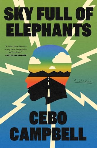 Sky Full of Elephants: A Novel