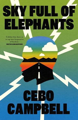 Sky Full of Elephants: A Novel von Threshold Editions
