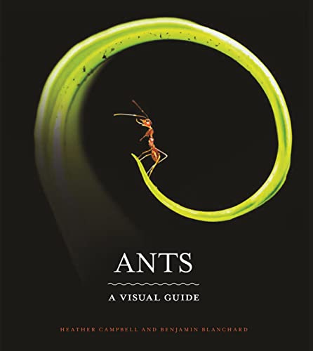 Ants: A Visual Guide von Princeton University Press