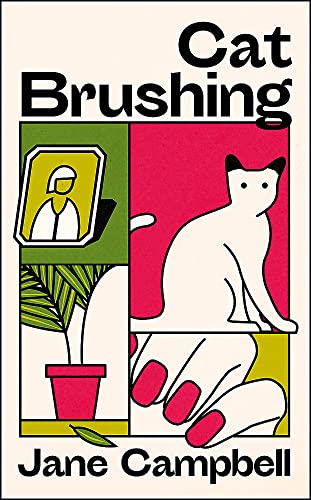 Cat Brushing: a dazzling short story collection about thirteen older women von riverrun