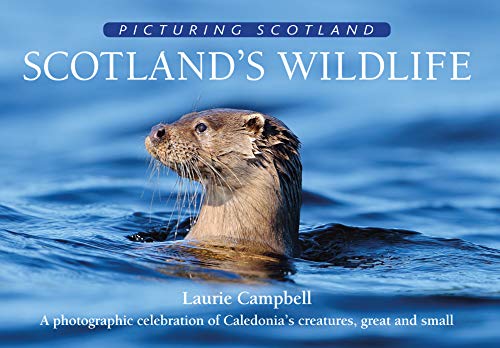 Scotland's Wildlife: Picturing Scotland: A photographic celebration of Caledonia's creatures, great and small