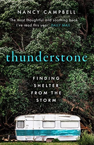 Thunderstone: Finding Shelter from the Storm von Elliott & Thompson Limited