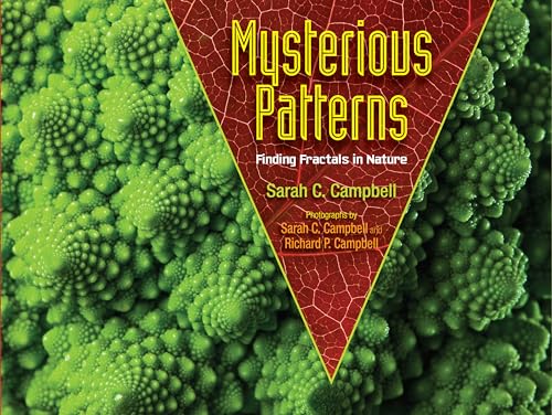 Mysterious Patterns: Finding Fractals in Nature von Astra Young Readers