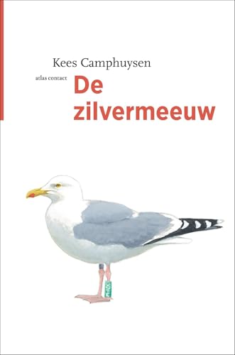 De zilvermeeuw (Vogelserie) von Atlas Contact