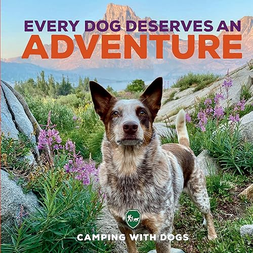 Every Dog Deserves an Adventure: Amazing Stories of Camping with Dogs von Epic Ink