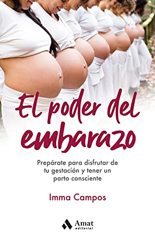 El poder del embarazo: Prepárate para disfrutar de tu gestación y tener un parto consciente von Urgoiti Editores