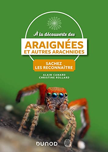A la découverte des araignées et autres arachnides: Sachez les reconnaître