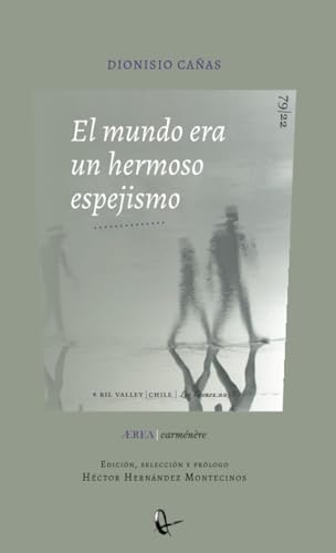 El mundo era un hermoso espejismo. Poéticas Críticas (Ærea, Band 79) von RIL EDITORES
