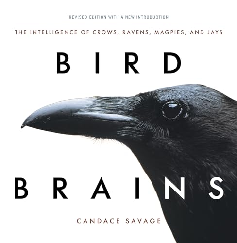 Bird Brains: The Intelligence of Crows, Ravens, Magpies, and Jays von Greystone Books