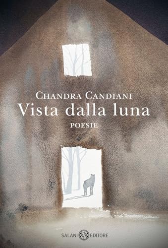 Vista dalla luna von Salani