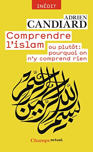 Comprendre L'Islam: Ou plutôt : pourquoi on n'y comprend rien