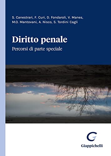 Diritto penale. Percorsi di parte speciale von Giappichelli