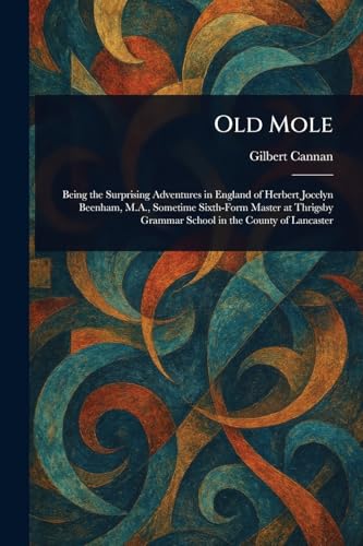 Old Mole von Anson Street Press