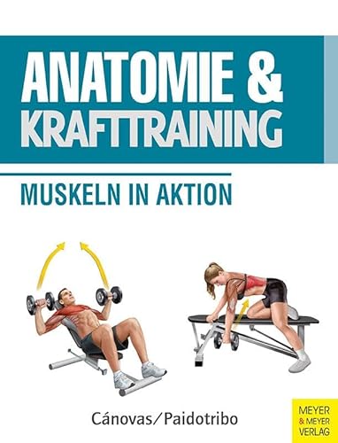 Anatomie & Krafttraining: Muskeln in Aktion (Anatomie & Sport) von Meyer & Meyer