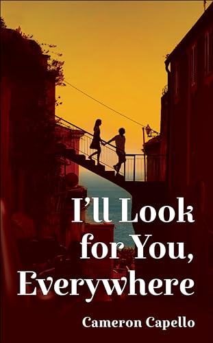 I'll Look for You, Everywhere: The Intoxicating and Emotional Love Story Full of Tension and Angst von MACMILLAN