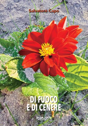 Di fuoco e di cenere Di fuoco e di cenere von Phasar Edizioni