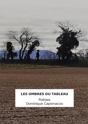 Les ombres du tableau von AFNIL