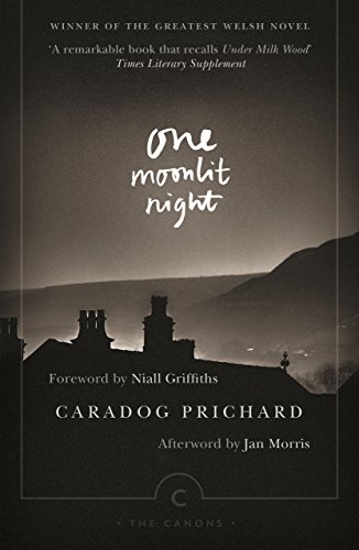 One Moonlit Night (Canons) von Canongate Books Ltd