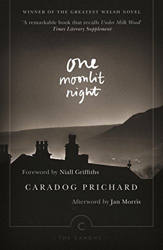 One Moonlit Night (Canons) von Canongate Books
